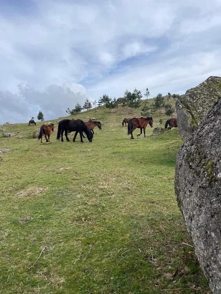 Casa De Casarelhos - Alojamentos - Geres Cova Kültér fotó