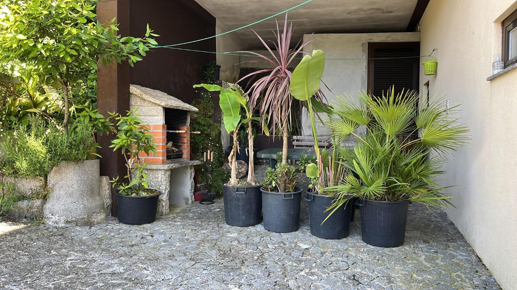 Casa De Casarelhos - Alojamentos - Geres Cova Kültér fotó